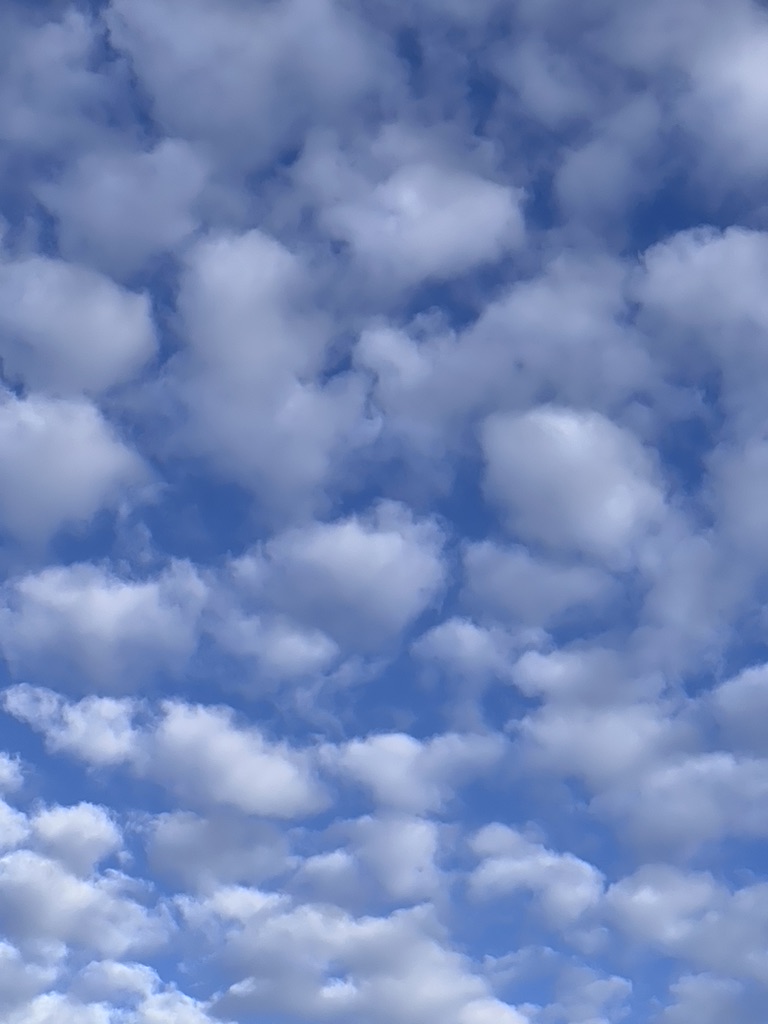 sky with many white clouds