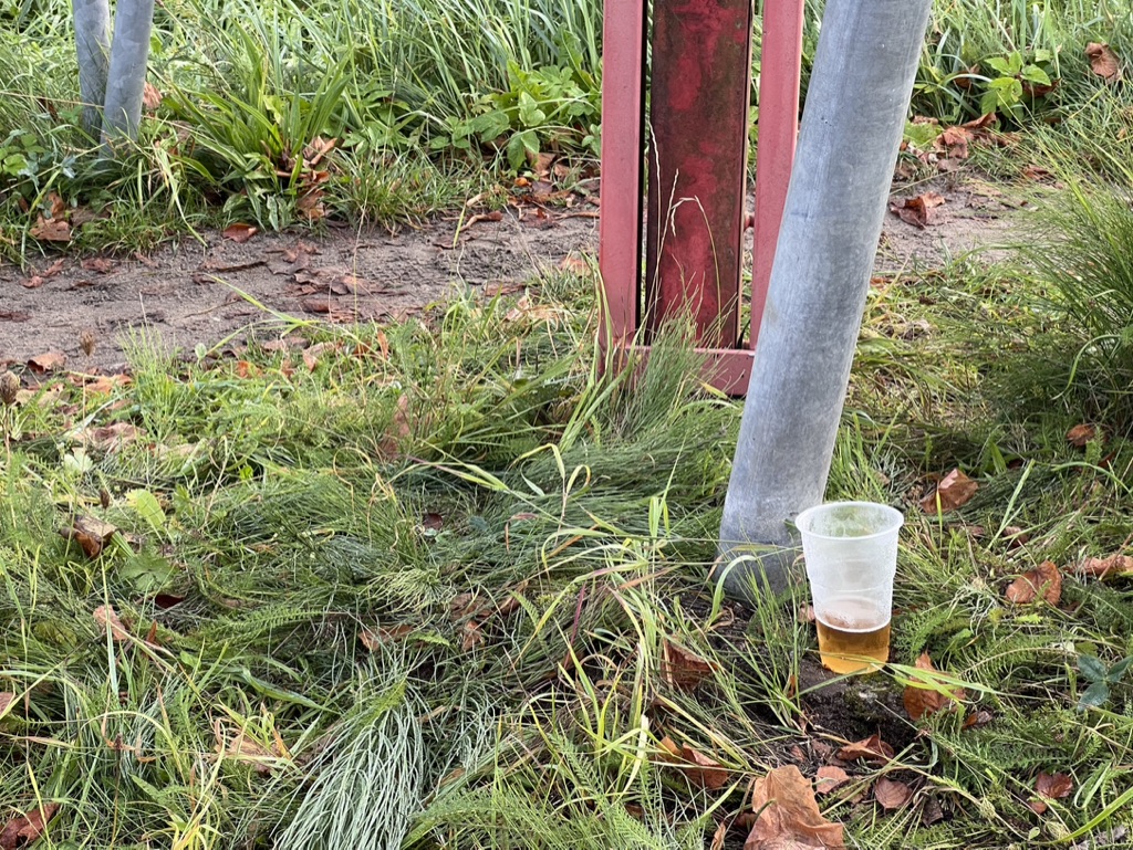 Plastikbecher (0,5) mit Restbier in Unkraut an einem schiefen Metallpfahl stehend